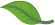 A green leaf